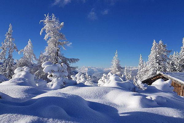 Winterurlaub im Hotel Reiter