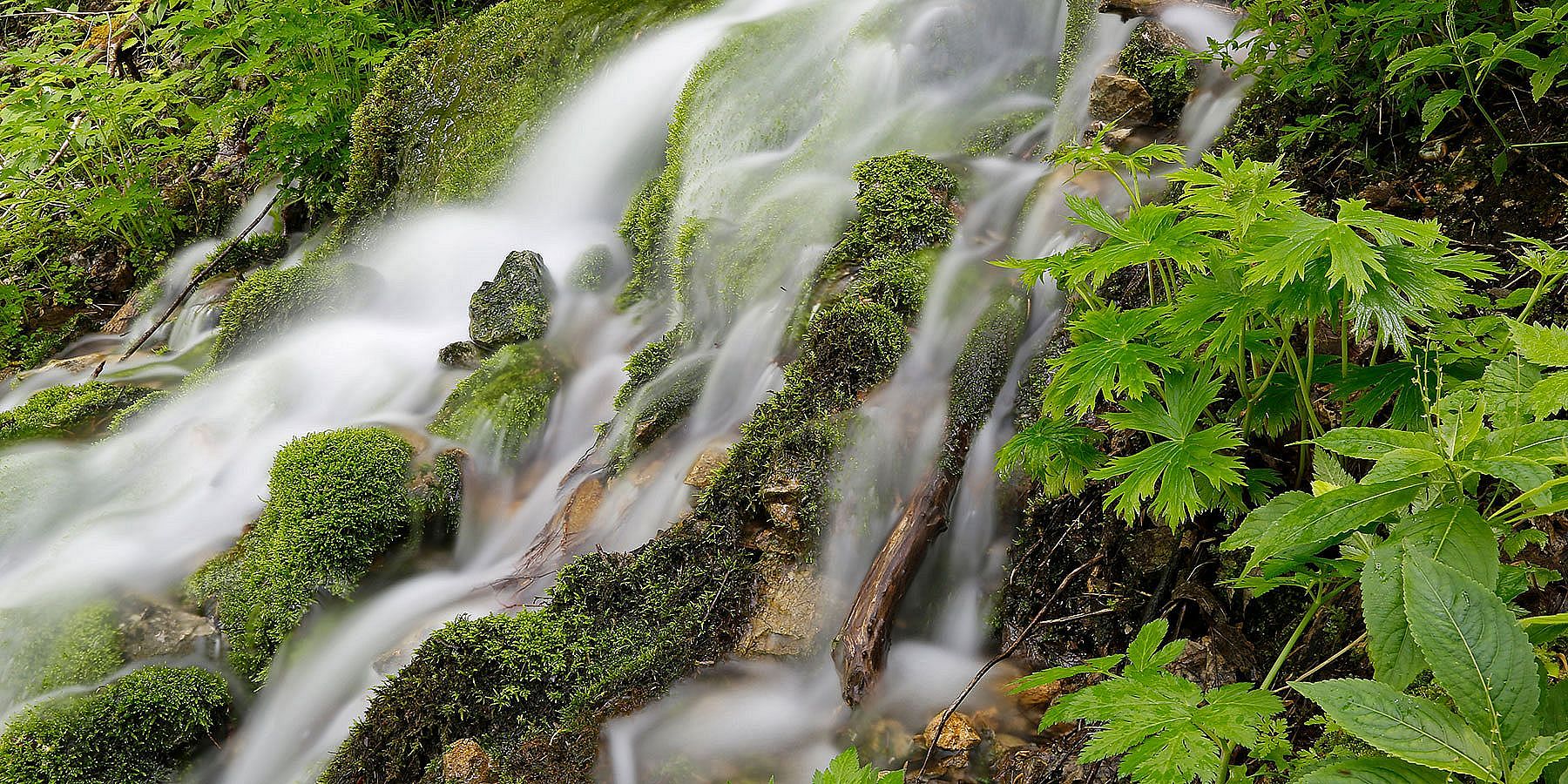 Sommerurlaub im Ennstal